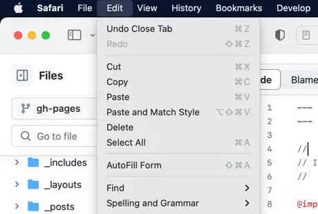 Safari HUD Edit menu dropdown with cut, copy and paste